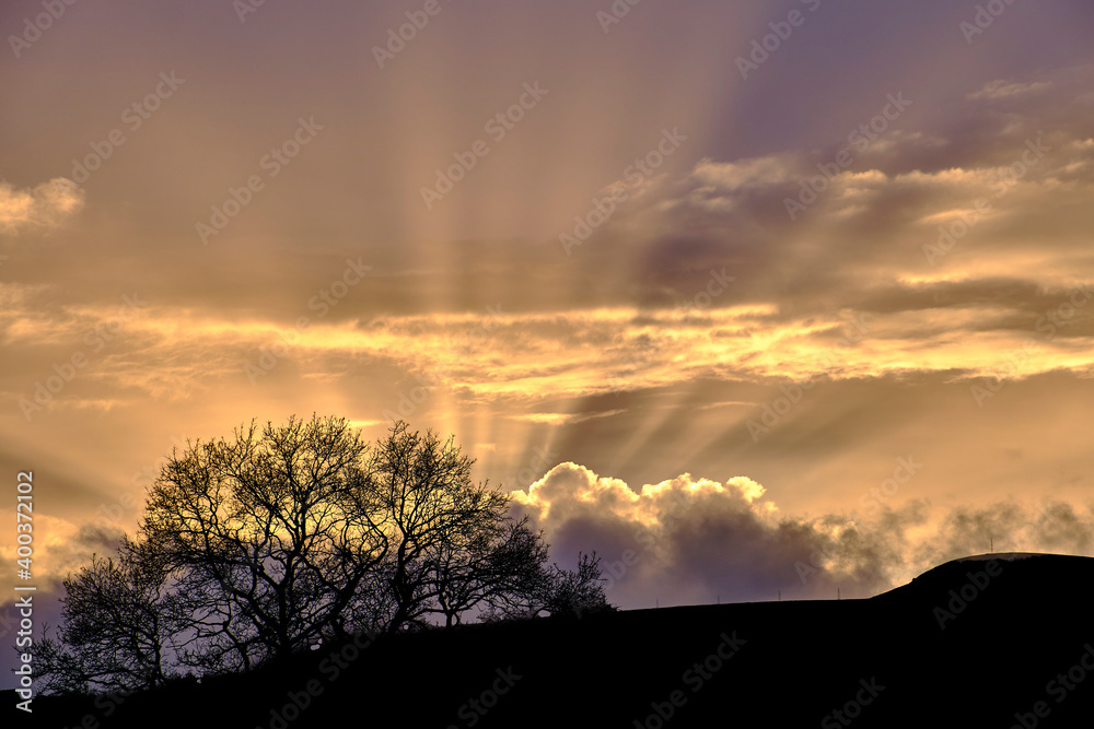 Fototapeta premium Sunbeams