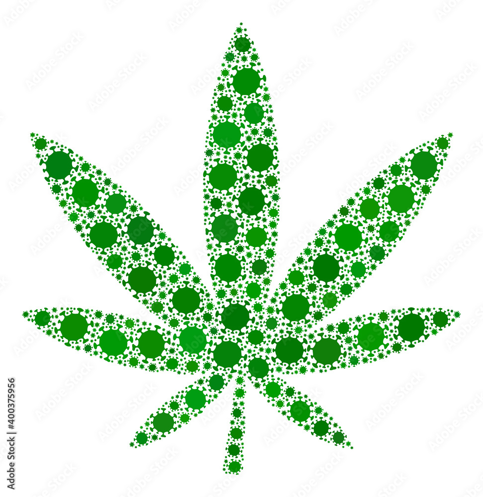 Vector marijuana coronavirus mosaic icon combined for lockdown advertisement. Marijuana mosaic is organized of scattered coronavirus pathogen icons. Vector marijuana coronavirus mosaic icon combined for lockdown advertisement. Marijuana mosaic is organized of scattered coronavirus pathogen icons.