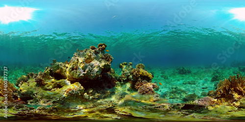Fototapeta Naklejka Na Ścianę i Meble -  Wonderful and beautiful underwater colorful fishes and corals in the tropical reef. Philippines. 360 panorama VR