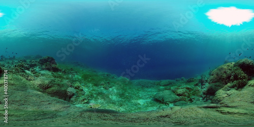 Fototapeta Naklejka Na Ścianę i Meble -  Reef Coral Tropical Garden. Tropical underwater sea fish. Colourful tropical coral reef. Philippines. 360 panorama VR