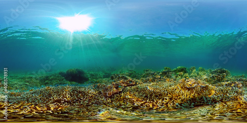 Tropical Underwater Colorful Reef. Tropical underwater sea fish. Philippines. Virtual Reality 360. © Alex Traveler
