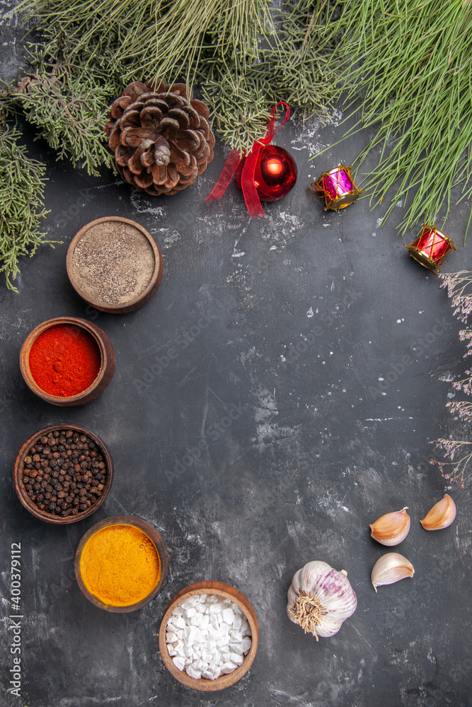 top view different seasonings with garlic on dark background photo many plant darkness