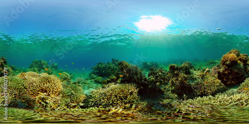 Coral reef and tropical fishes. Coral Reef and Fishes Underwater. The underwater world of the Philippines. 360 panorama VR © Alex Traveler