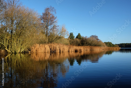 Still water on a large calm lake, during a cold sunny winters morning, Surrey, UK