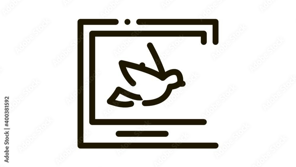 Bird Picture Or Photo Card Icon Thin Line . Flying Bird Silhouette Image In Frame, Ornithology animated icon on white background Bird Picture Or Photo Card Icon Thin Line . Flying Bird Silhouette Image In Frame, Ornithology animated icon on white background