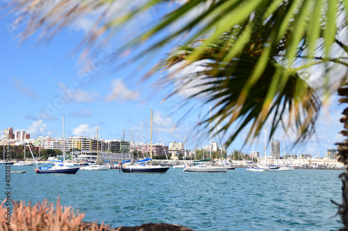 Palmenpromenade mit Sicht auf den Yachthafen © kanarenfotos