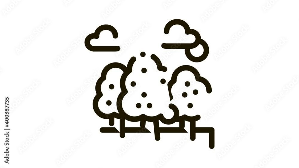 Trees Forest Icon Animation. black Trees Forest animated icon on white background Trees Forest Icon Animation. black Trees Forest animated icon on white background