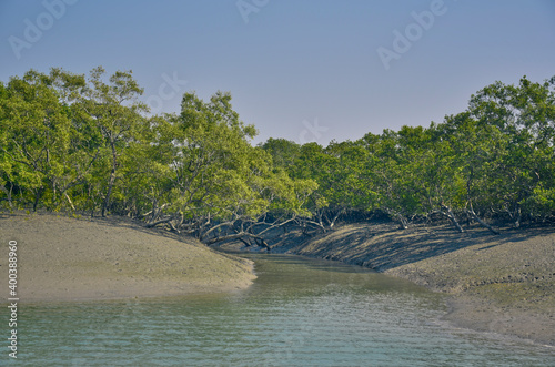 Narrow creeks with river stream flowing into deep mangrove jungle, consisting of mainly Sundari tree. At Sunderbans delta, habitat of world famous royal bengal tiger. Shot at West Bengal, India.