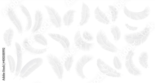 White feathers. Realistic 3D fluffy bird plume in different angle, feather heaven decor elements. Symbol of lightness and softness vector isolated set of goose, angel or swan quill