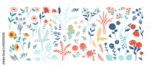 Flowers. Cartoon floral decorative elements, spring and summer green plants. Blossoming field herbs or roses on white background. Colorful bloom and foliage, vector botanical flat set