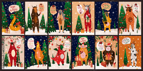 Big New Year vector set of 12 cards of 12 zodiacs in pajamas in the shape of a bull. Bull, goat, bunny, dog, snake, monkey, horse, rooster, tiger, dragon, pig, rat, Christmas trees, gifts, decorations