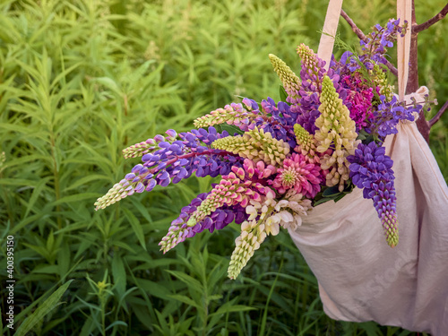Colored lupin flowers in the bag in the field.