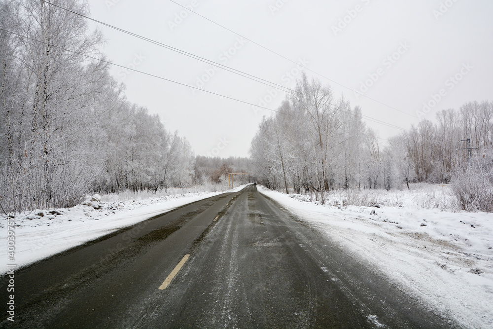 Snow-covered road in a snow-covered pine forest Snow-covered road in a snow-covered pine forest