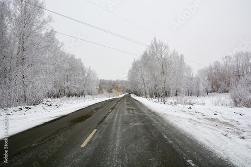 Snow-covered road in a snow-covered pine forest