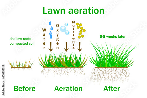 Lawn aeration. Lawn aeration stage illustration. Before and after aeration. Aeration used in the upkeep of lawns and turf. Lawn maintenance. Grass enrichment with oxygen, water and nutrients. Vector