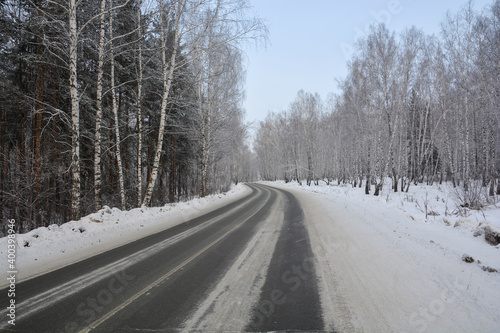 Snow-covered road in a snow-covered pine forest