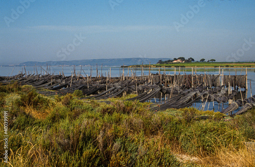 Filets de p  che  Etang de Vic  lagune  espace naturel prot  g    34  H  rault