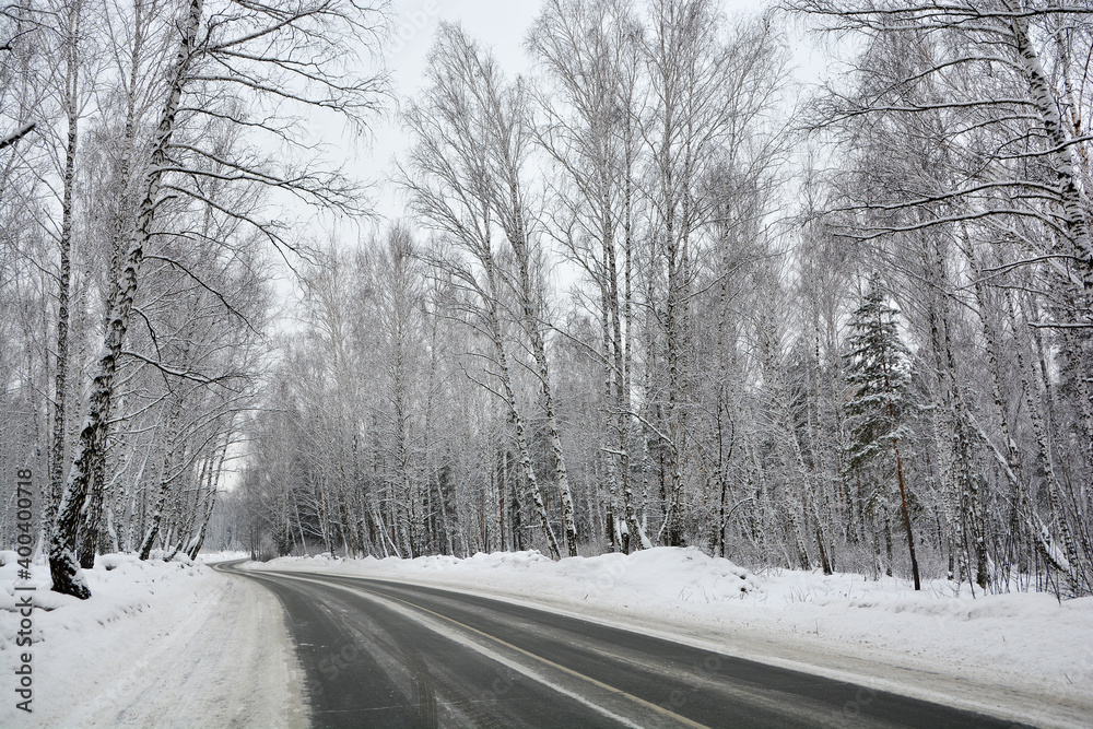 Snow-covered road in a pine forest Snow-covered road in a pine forest
