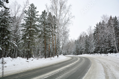 Snow-covered road in a pine forest