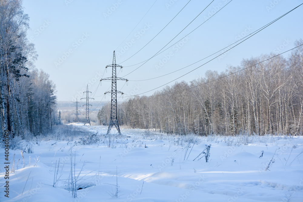 Snow-covered pine forest in winter 