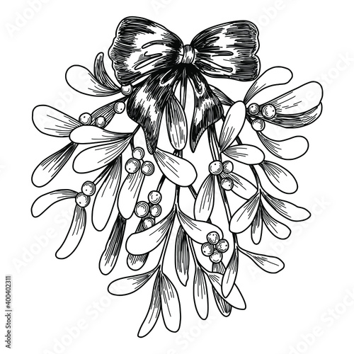 Hand drawn mistletoe, kissing bough with bow, Christmas decoration, black and white botanical sketch on white background. Vector illustration.