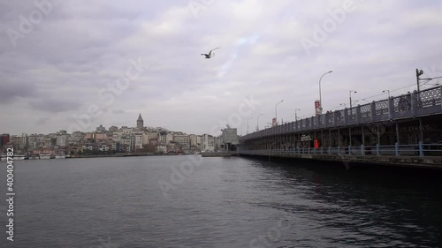 Seagull flying on the Golden Horn in Istanbul (slow motion)