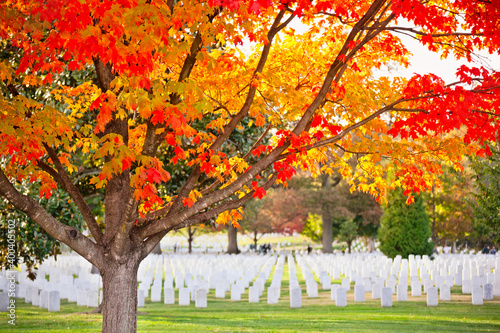 Fotografi White marble headstones in a field at Arlington National Cemetery under blazing