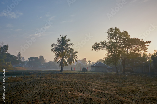 Scene of early winter morning at Sundarbans, West Bengal, India. Empty agricultural fields with dried up paddy straw. Distant village skyline visible through layers of fog and warm sunlight.