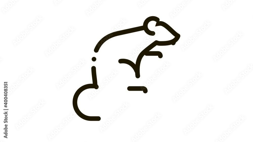 Rat Icon Animation. black Rat animated icon on white background Rat Icon Animation. black Rat animated icon on white background