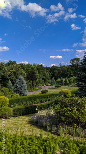 garden in the park