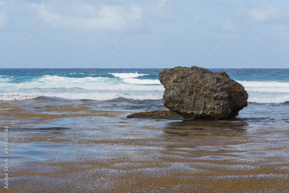 Limestone Boulder on Mud Flats on North Shore of Barbados
Limestone Boulder on Mud Flats on North Shore of Barbados