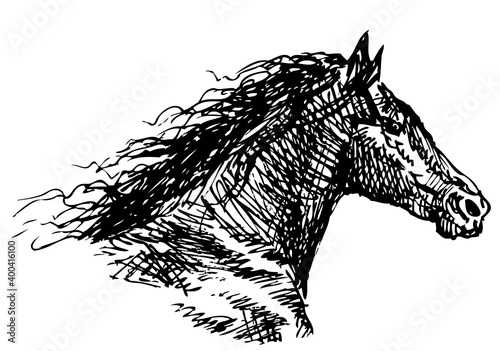 Freehand drawing of head of galloping horse