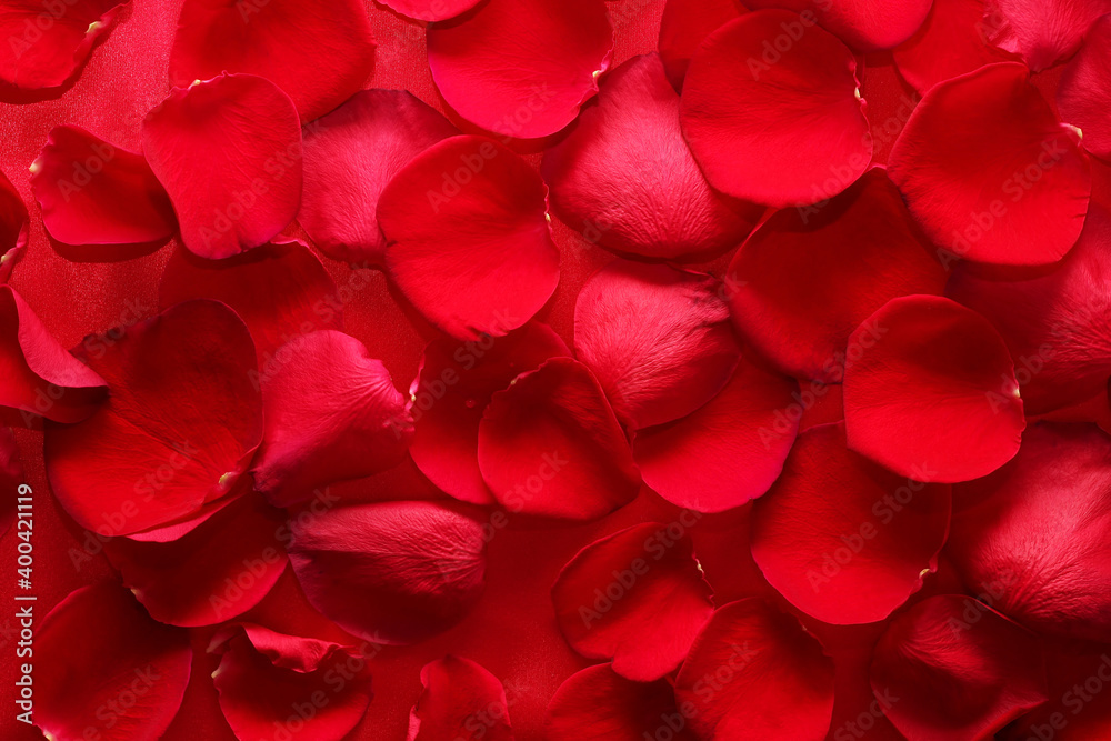 background of red petals top view background of red petals top view