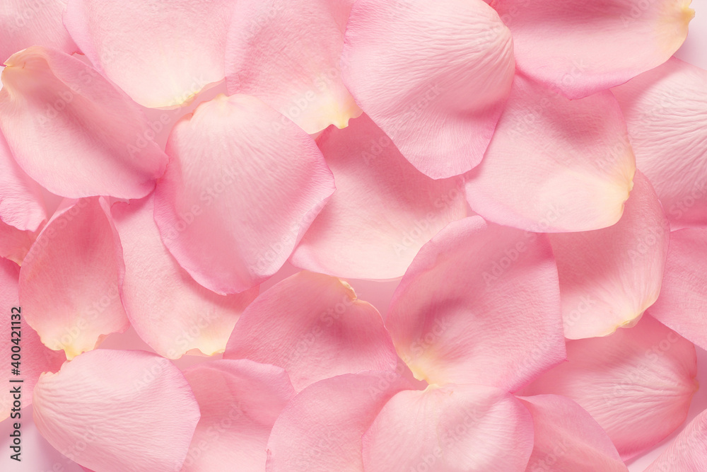 Obraz premium background of pink petals top view