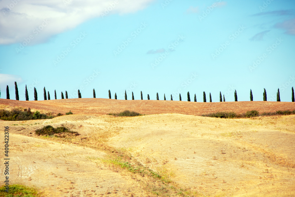 Fototapeta premium Val d'Orcia