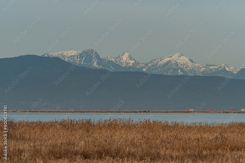 marshland by the river with brown straws and snow-covered mountain range over the horizon