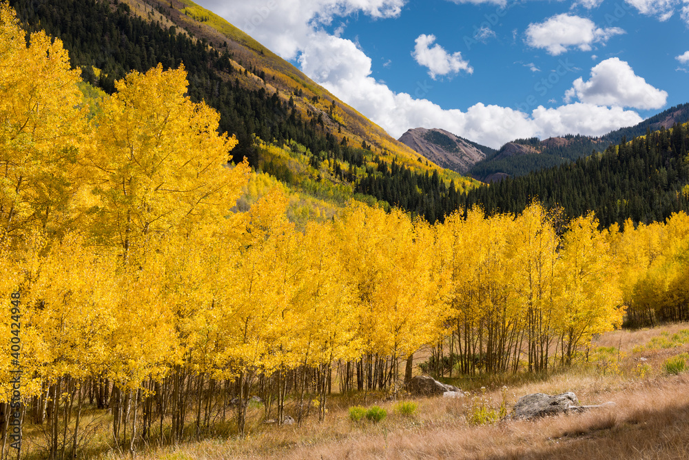 Beautiful aspen trees and high mountains around the Ghost Town of Ashcroft, which is in the Castle Creek Valley in central Colorado.