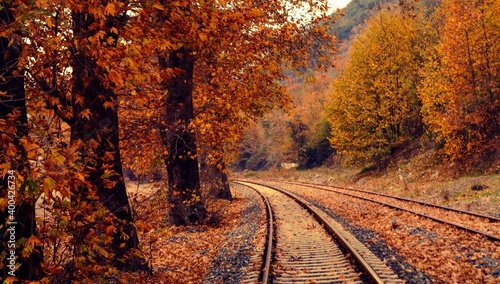 A train track among autumn leaves