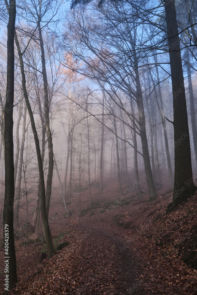 Obraz premium Nebellandschaften an der Bergstraße.