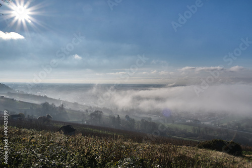 Nebellandschaften an der Bergstraße.