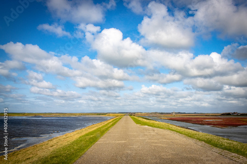 nationalpark oosterschelde in zeeland / netherlands photo