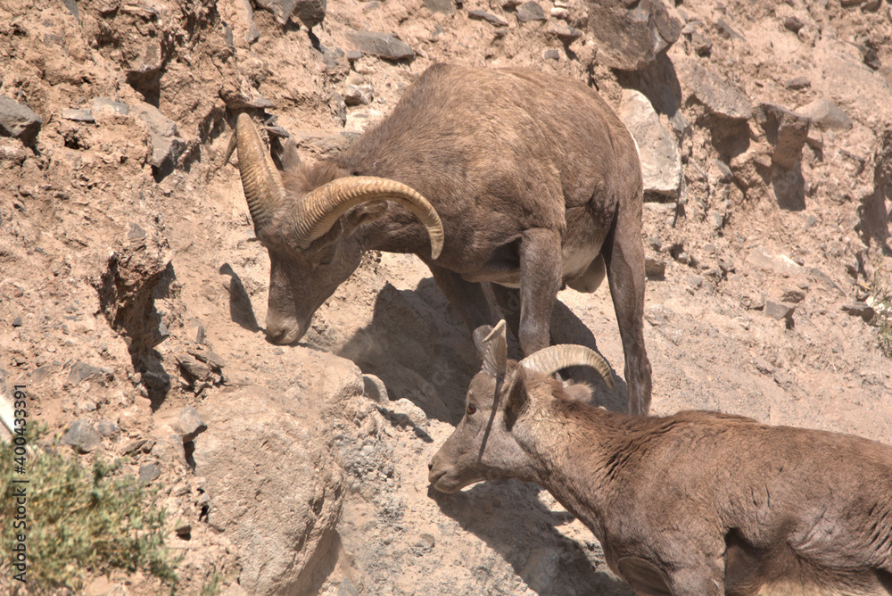 Naklejka premium San Juan Mountains in southern Colorado