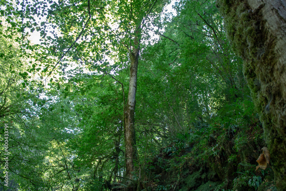 The territory of the Holy Spring of Seraphim of Sarov in the Caucasus Mountains on a hot sunny summer day. Healing source. The territory of the Holy Spring of Seraphim of Sarov in the Caucasus Mountains on a hot sunny summer day. Healing source.