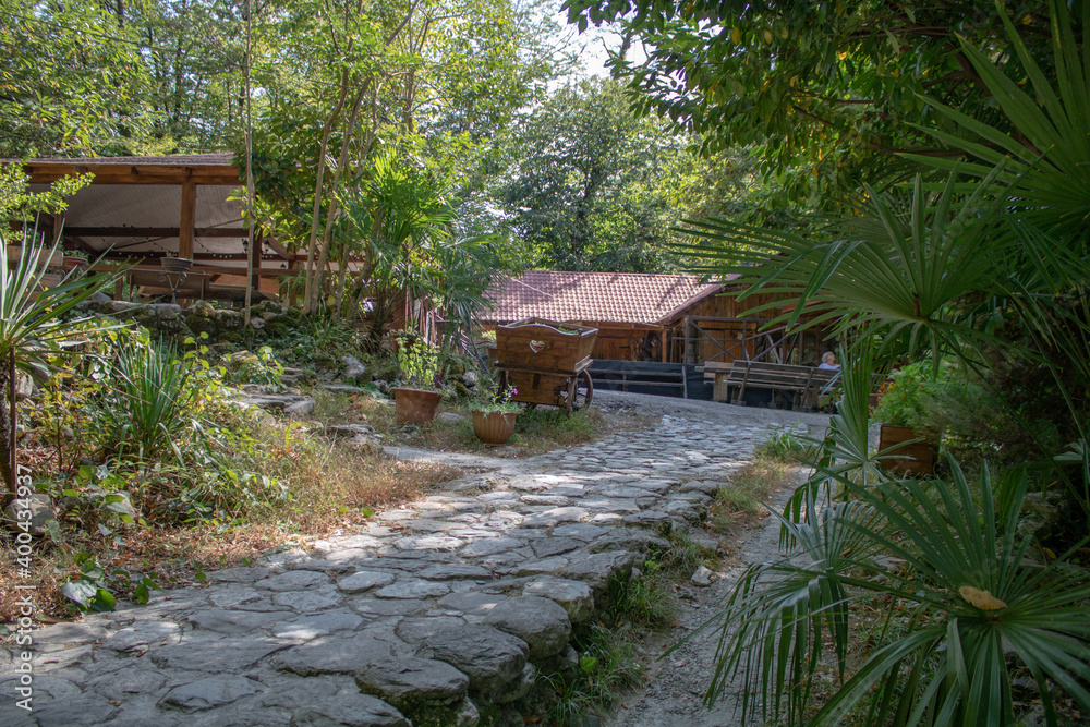 The territory of the republican reserve in the mountains of the Caucasus by the name of Koryto on a hot sunny summer day. The source of healing from loneliness. The territory of the republican reserve in the mountains of the Caucasus by the name of Koryto on a hot sunny summer day. The source of healing from loneliness.