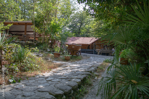 The territory of the republican reserve in the mountains of the Caucasus by the name of Koryto on a hot sunny summer day. The source of healing from loneliness.