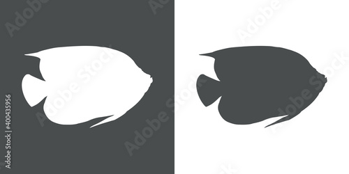 Peces tropicales. Icono silueta pez ángel en fondo gris y fondo blanco