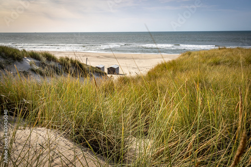 beach and sand dunes  island of Texel  Netherlands