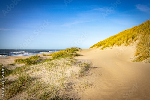 sand dunes at sunset, Texel island, netherlands