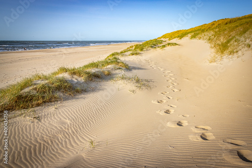 sand dunes and beach, texel island, netherlands