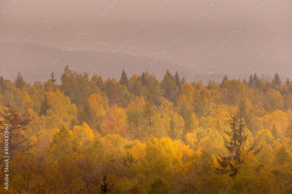Autumn foggy landscape. Autumn foggy morning in the deciduous forest. The low sun shines through the trees and fog and paints in the leaves and tall grass. Mountain landscape around the hill Decinsky 